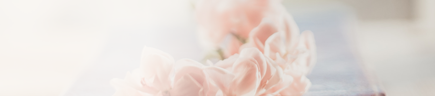 Närbild på mjuka rosa blommor med oskarp bakgrund.